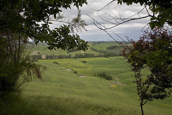 Last Minute tilbud hos Agriturismo Santa Lucia i Siena, Toscana...